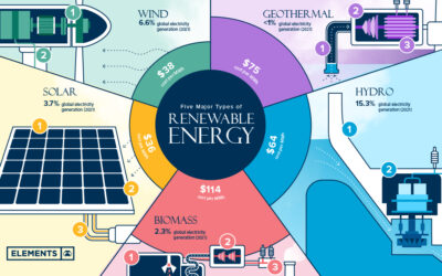 A Surge in Renewable Energy Capacity Signals Hope for a Sustainable Future